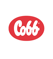 Cobb Vantress – Colombia – Brasil – España